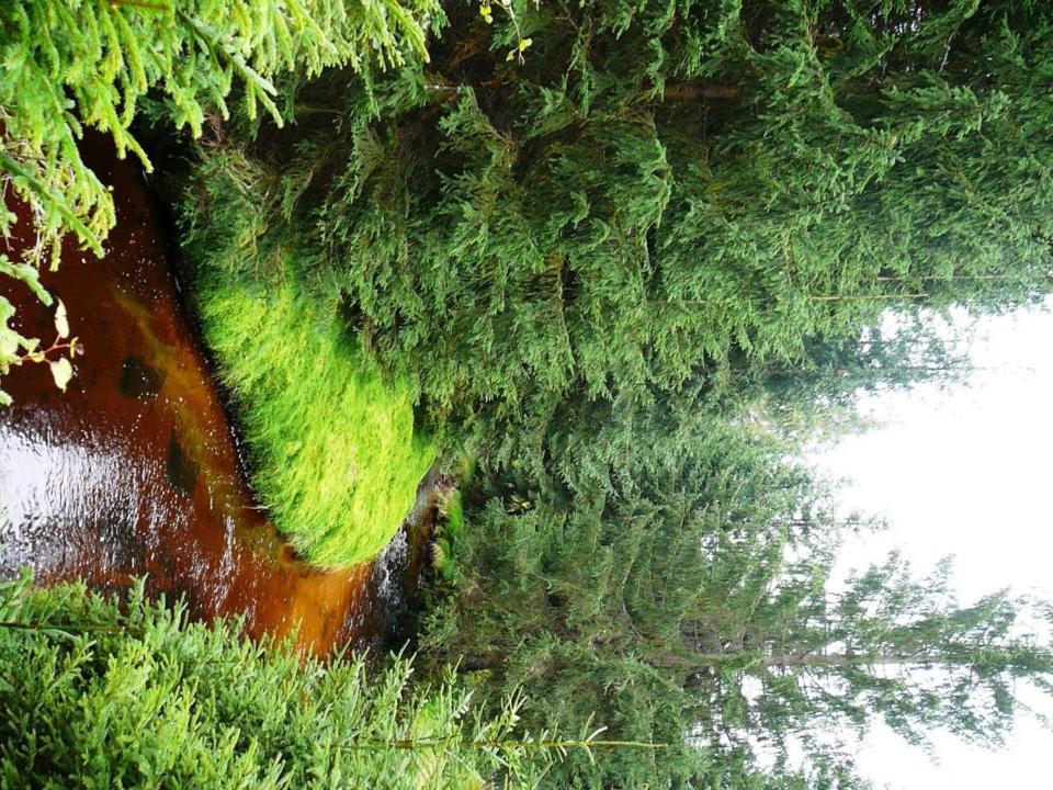 Jozefina Apartament'S Z Dotepem Do Mini Spa Szklarska Poreba Bagian luar foto